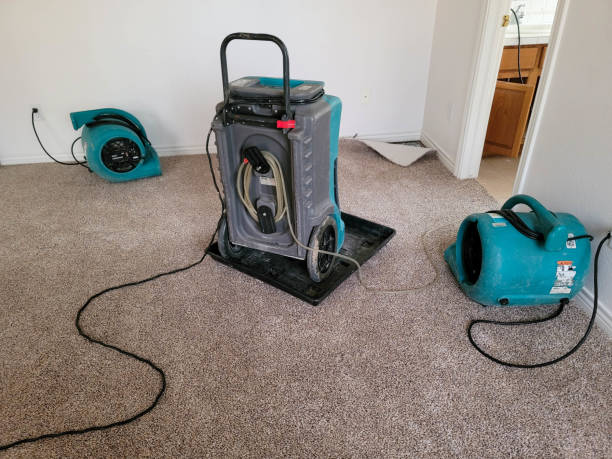 Best Sewage cleanup and water damage restoration  in Pleasant Gap, PA