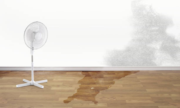Best Water damage contractors near me  in Pleasant Gap, PA