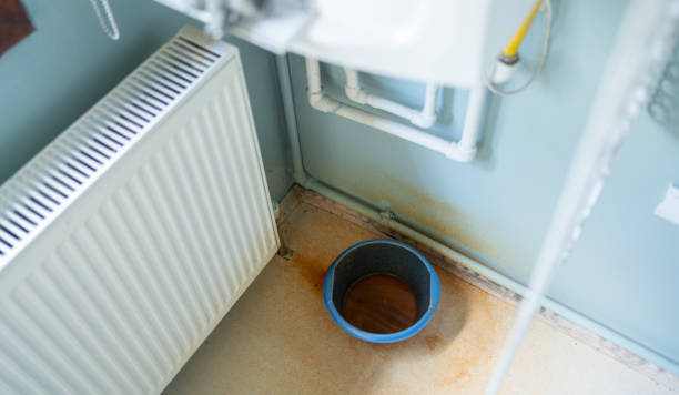 Best Water damage cleanup near me  in Pleasant Gap, PA